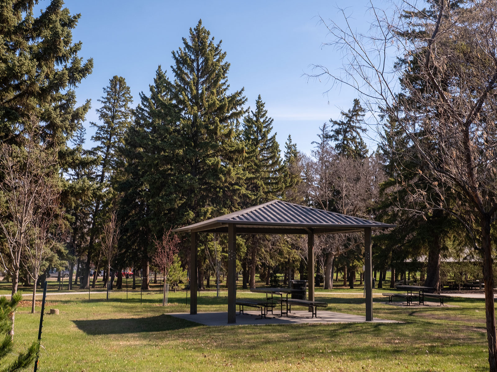 Bookable picnic site with canopy and 1 table