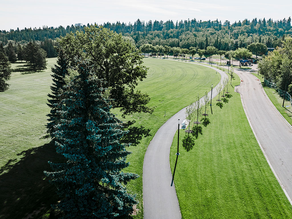Paved pathway and turf north of Picnic Site #2