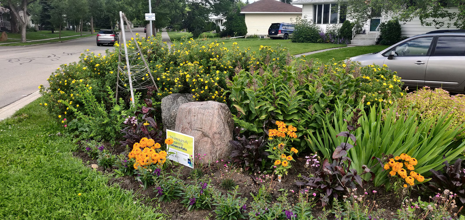 Partners in Parks Bed