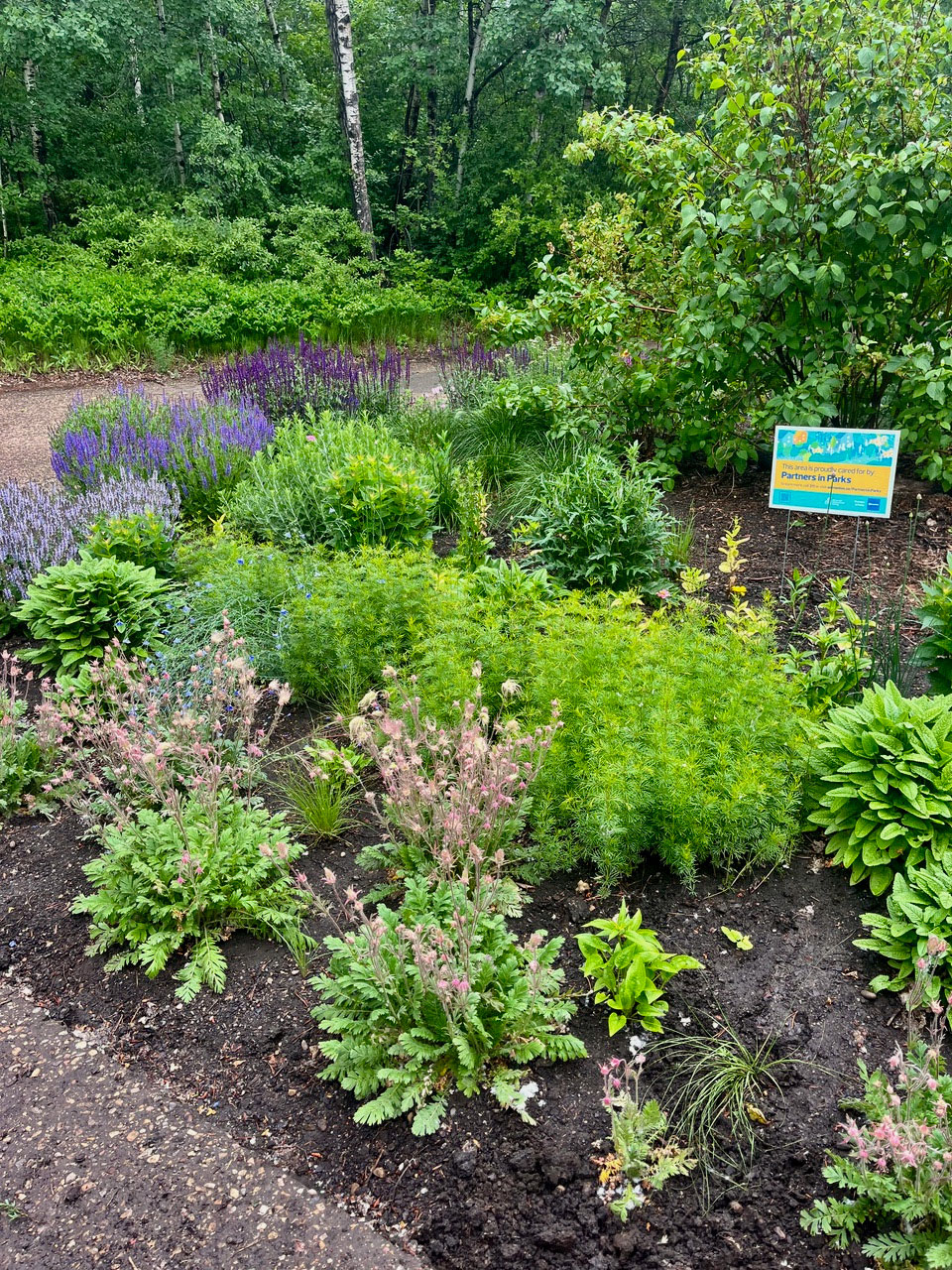 Partners in Parks Bed