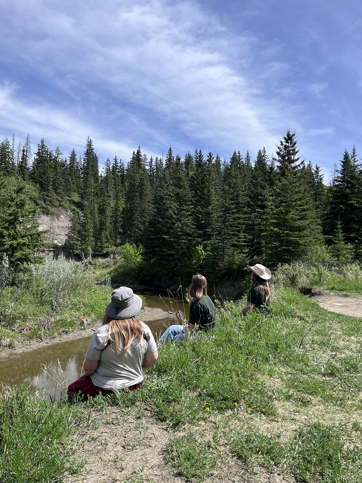 Shinrin Yoku Guides during a silent meditation
