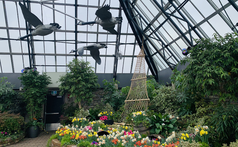 Bird sculptures hung above various flowers and plants in the Muttart feature pyramid.
