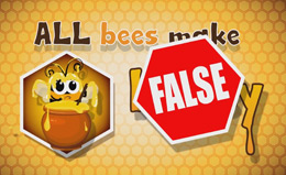 Myth #3: All bees make honey