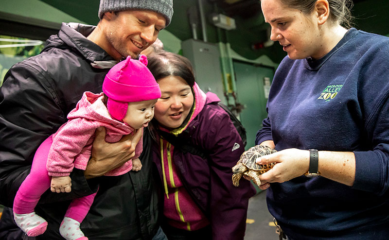 Event Days at the Zoo :: City of Edmonton