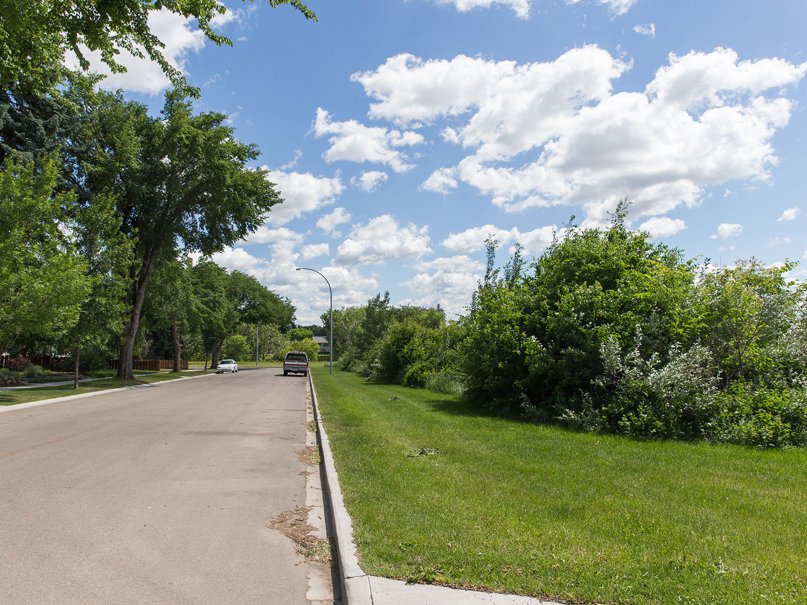 Naturalization along roadways.