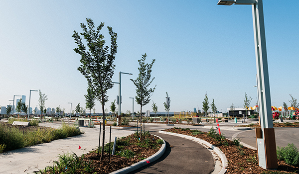 Walking paths at Blatchford