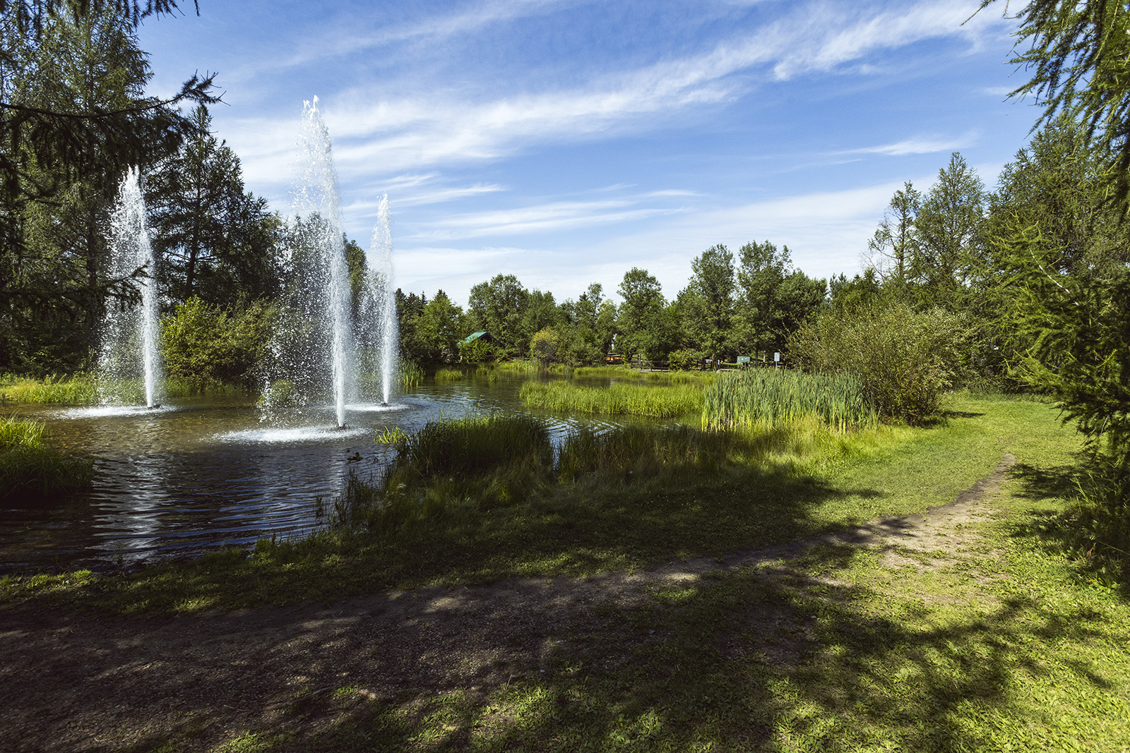 Pond fountains