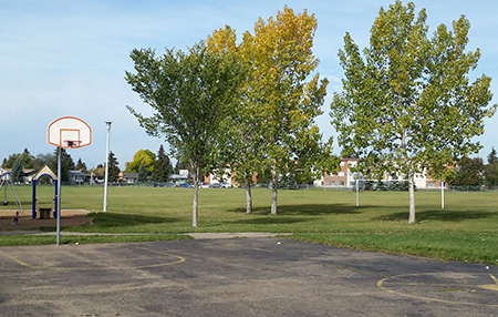 basketball court and park