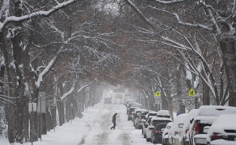 person walking snowy weather