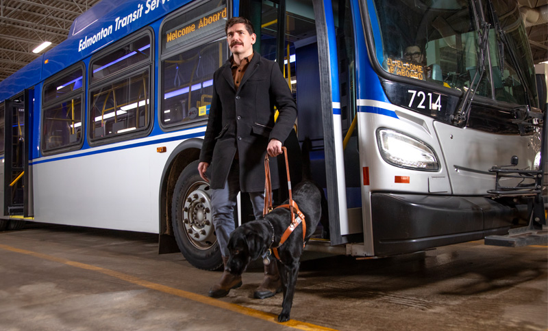 man with service dog and bus
