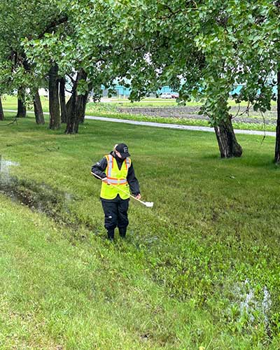 Crew member spraying for mosquitoes in a green space